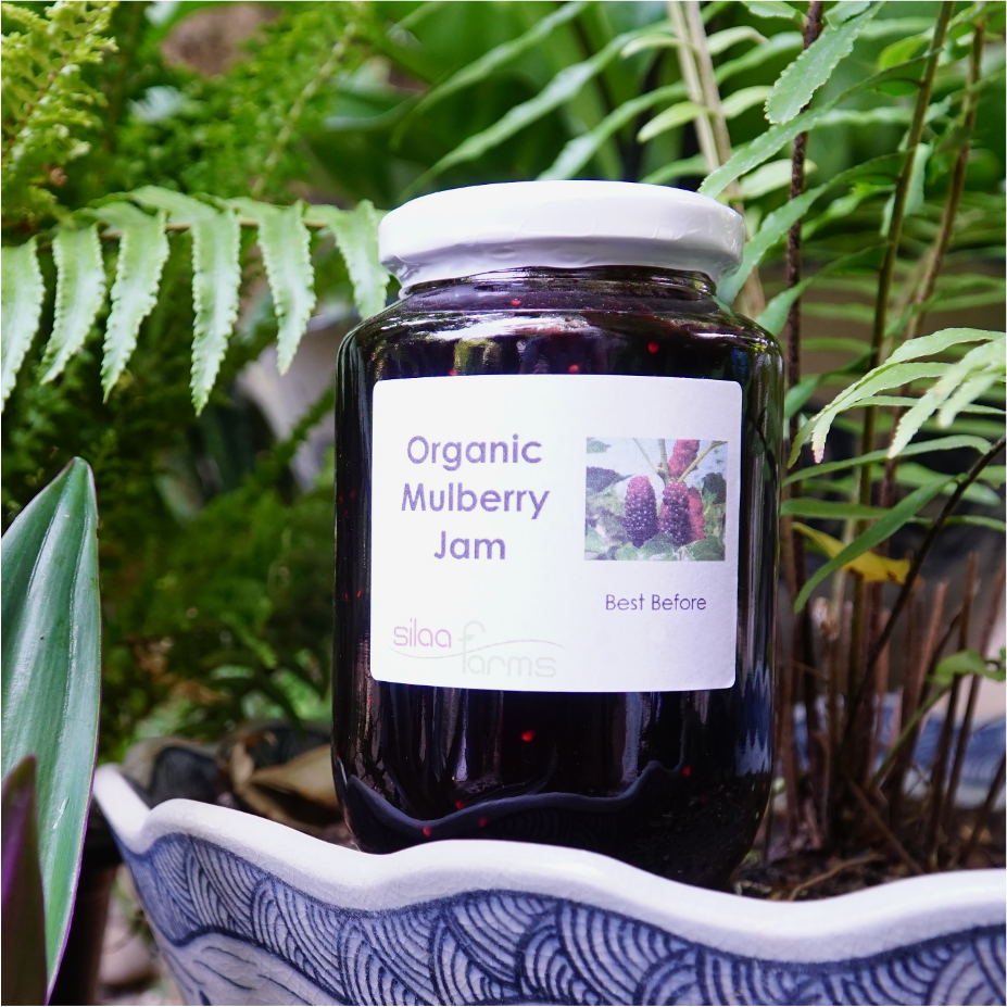 Organic Mulberry Jam (L)