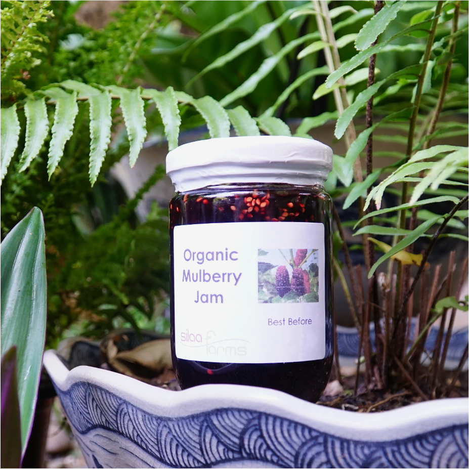 Organic Mulberry Jam (S)